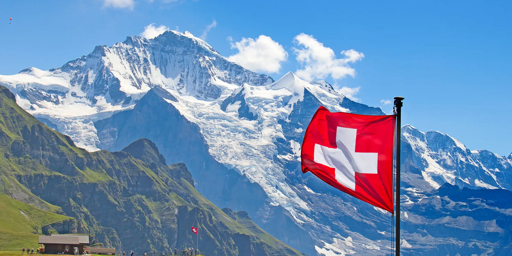 The Swiss Heritage Behind Karin Herzog’s Radiance - Karin Herzog